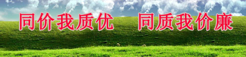 子页面广告位二